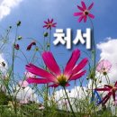 🏖處🏖暑🏖 이미지