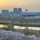 김가네 양평점 이미지