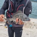 고성섬나들이 이미지