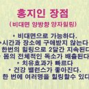 홍지인 이미지