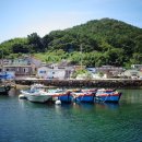 선물같은 하루 이미지