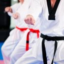 법동화랑태권도체육관 이미지