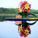 미플러스치과 네이버블로그