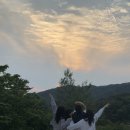 수타사 힐링 캠프 이미지