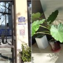 동부교회 맞은편 이미지