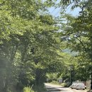 미스터파파 임실치즈피자 고령점 | 경남 캠핑장 추천, 김해 신어산 자연숲 캠핑장 산8동