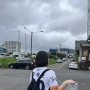 코코리코케이크
