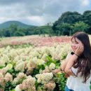 다운공원 네이버블로그