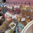 용산-현장-21 | 치이카와샵 용산 팝업스토어 첫날 뒤늦은 후기 ft. 치이카와 덕후, 한복 득템