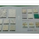 흥전초등학교 이미지