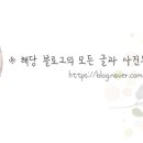 주식회사 놀던