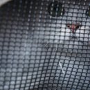 개똥이와냐옹이 이미지