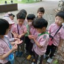 해여울어린이집 이미지