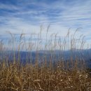 거창-고제-12 이미지