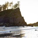 바다와소나무 이미지