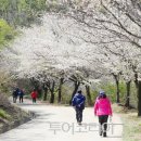 삼길포 관광안내소 이미지