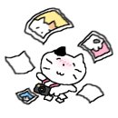 서울칼라３사진관 이미지