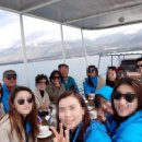 황박사안경원 반월점 이미지