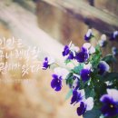 등기소 사거리 이미지