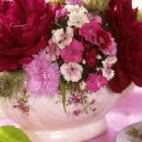 정암의원 이미지