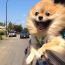 사동우리약국 이미지