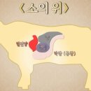 왔다갔다황소곱창 네이버블로그