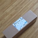 우산중학교 | “태풍우산 진짜 효과 있을까? 초강력우산 선풍기 바람 테스트 후기