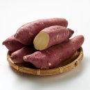 윤승하농장 이미지