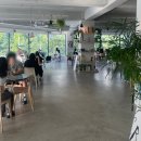 2687 | 대전 둔산동 '숍비피' 느좋 감성 카페 추천
