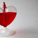 존 행정사 이미지