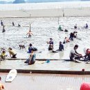 거차뻘배체험마을 이미지