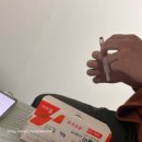 가축인공수정업 | 인공수정 1차 과정 총정리! 벰폴라 자가주사, 예나트론 부작용