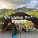 비타민팜 이미지