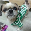 금오동물병원 이미지