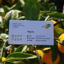 진석농장 이미지