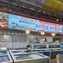 게판5분전 | 제주 동문시장 먹거리 유신회수산 & 게판5분전 내돈내산 후기