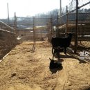 성호농장 이미지