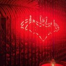 제주도게스트하우스파티 사교장 이미지