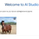 구글 AI 스튜디오 사용 후기 및 사용방법