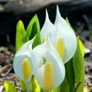 행복한하루 이미지