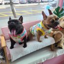 스파트리송정 이미지