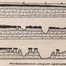 계곡속의동화 이미지