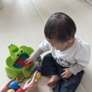 14개월 아기 장난감 추천 🐸 품절대란 개구리연못 팝핀 장난감 후기