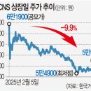 상장안 티스토리