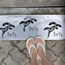 경포2호 이미지