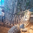 크레이쥬 이미지