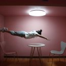 병아리소풍 이미지