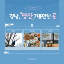 양산신-1019 | 양산 가볼만한곳 통도사 더도게장 트리폰즈_ 내돈내산 솔직후기