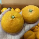 홍순농장 이미지