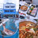 송정동 해안도로 | 강릉 주문진 횟집 야외 수조 다물선